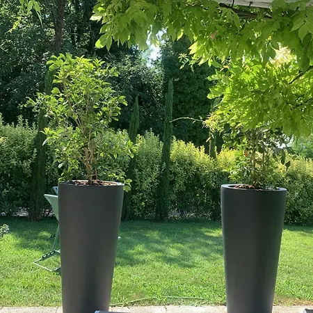 Vakantiehuis Casa Rosanna *