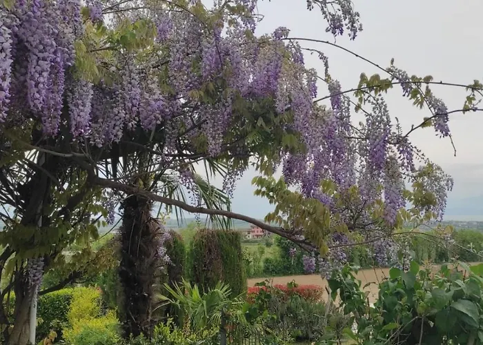 Casa Rosanna بيت للعطل