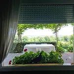 Casa Rosanna