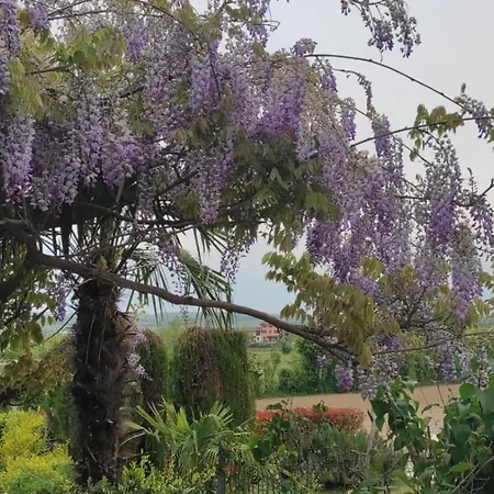 Casa Rosanna Vakantiehuis